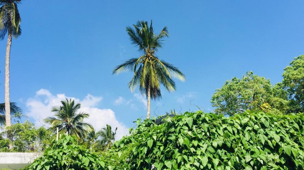 Villa Ceylon Home Unawatuna Bagian luar foto